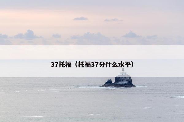 37托福（托福37分什么水平）