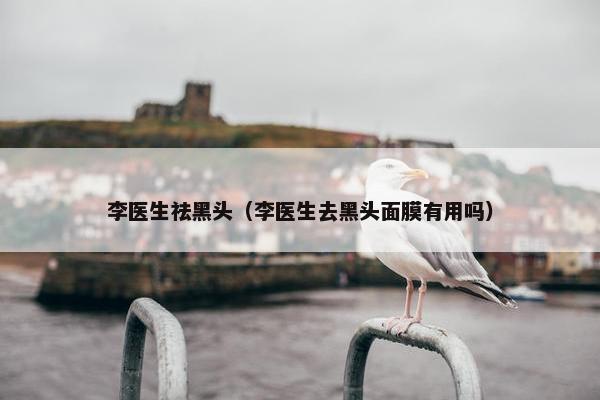 李医生祛黑头（李医生去黑头面膜有用吗）