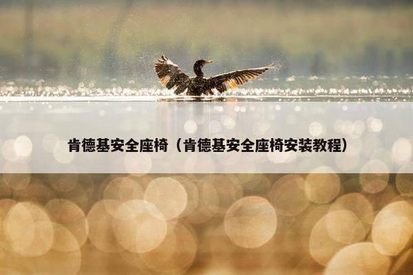 肯德基安全座椅（肯德基安全座椅安装教程）