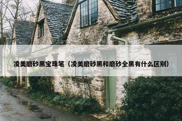 凌美磨砂黑宝珠笔（凌美磨砂黑和磨砂全黑有什么区别）
