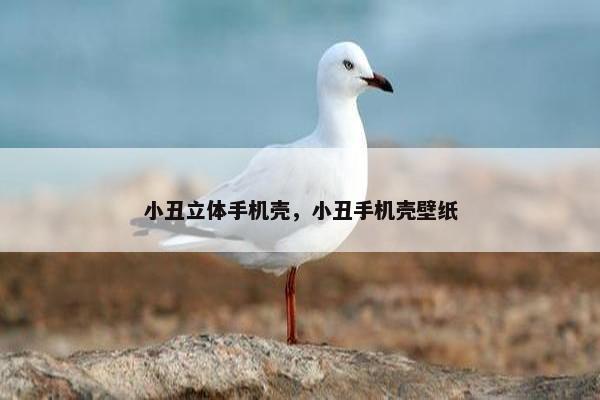 小丑立体手机壳，小丑手机壳壁纸
