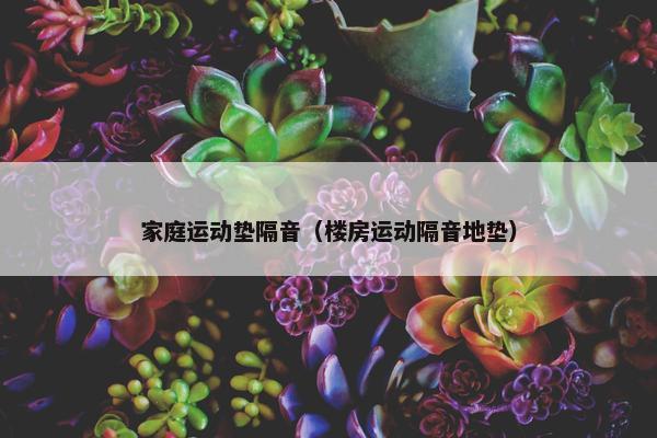 家庭运动垫隔音（楼房运动隔音地垫）