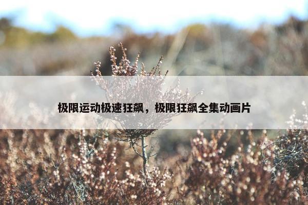 极限运动极速狂飙，极限狂飙全集动画片
