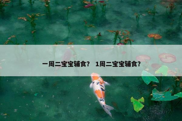 一周二宝宝辅食？ 1周二宝宝辅食？