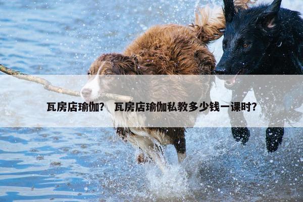 瓦房店瑜伽？ 瓦房店瑜伽私教多少钱一课时？