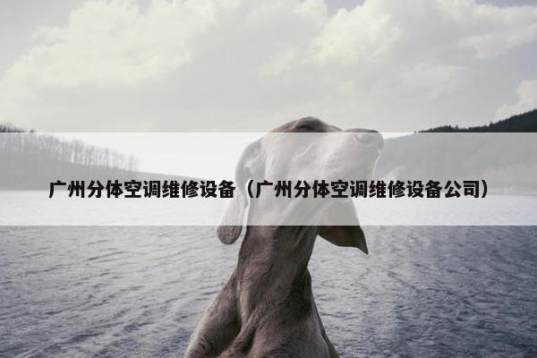 广州分体空调维修设备（广州分体空调维修设备公司）