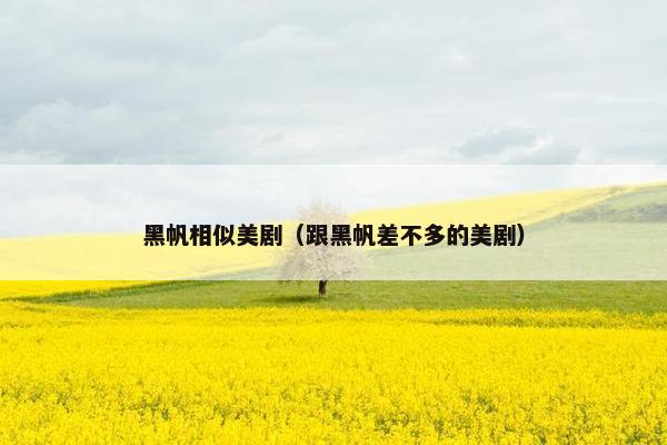 黑帆相似美剧（跟黑帆差不多的美剧）