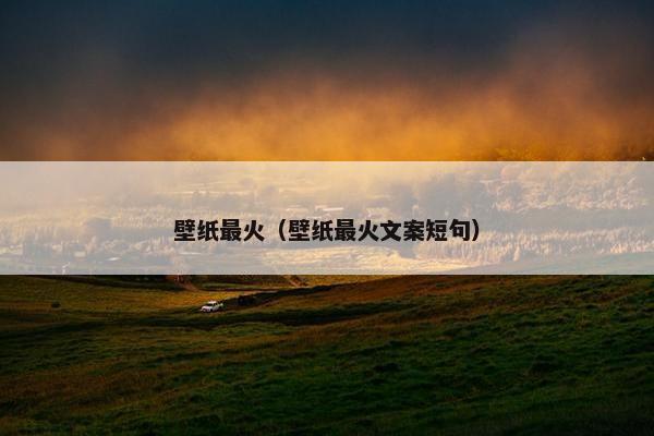 壁纸最火（壁纸最火文案短句）