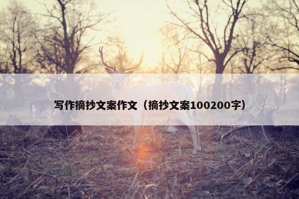 写作摘抄文案作文（摘抄文案100200字）