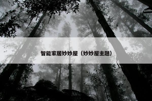 智能家居妙妙屋（妙妙屋主题）