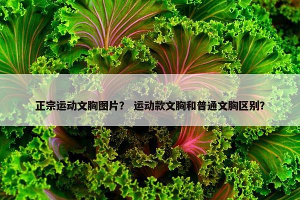 正宗运动文胸图片？ 运动款文胸和普通文胸区别？