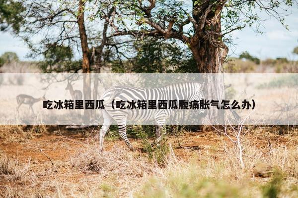 吃冰箱里西瓜（吃冰箱里西瓜腹痛胀气怎么办）