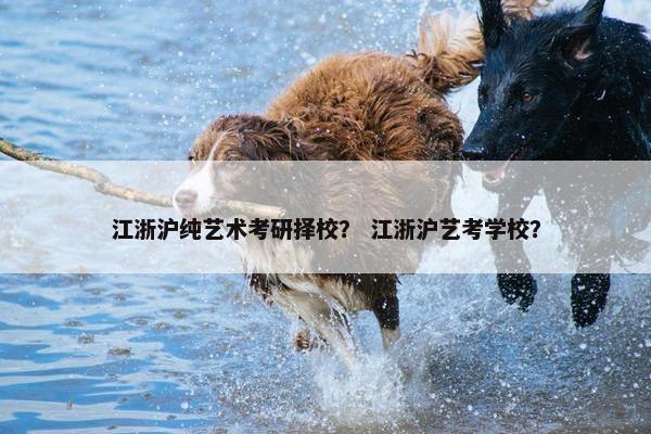 江浙沪纯艺术考研择校？ 江浙沪艺考学校？