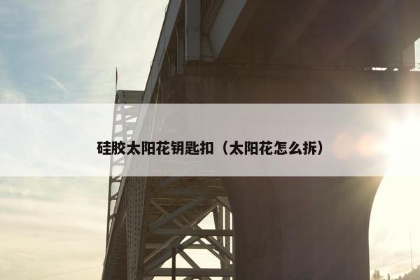 硅胶太阳花钥匙扣（太阳花怎么拆）