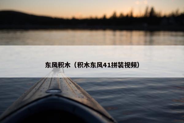 东风积木（积木东风41拼装视频）