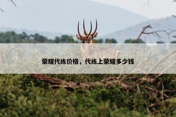 荣耀代练价格，代练上荣耀多少钱