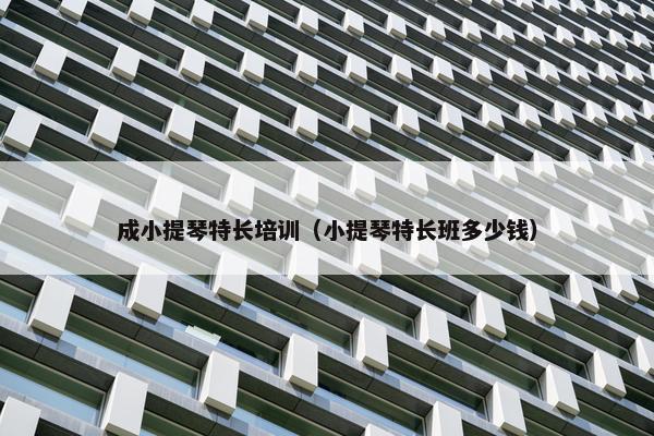 成小提琴特长培训（小提琴特长班多少钱）