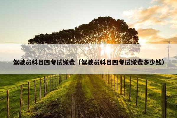 驾驶员科目四考试缴费（驾驶员科目四考试缴费多少钱）