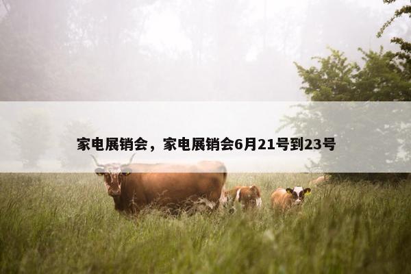 家电展销会，家电展销会6月21号到23号
