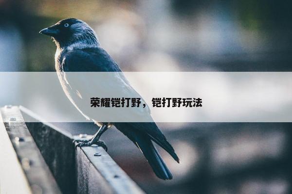 荣耀铠打野，铠打野玩法
