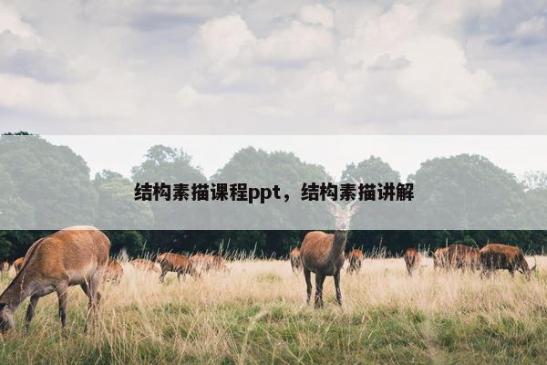 结构素描课程ppt，结构素描讲解