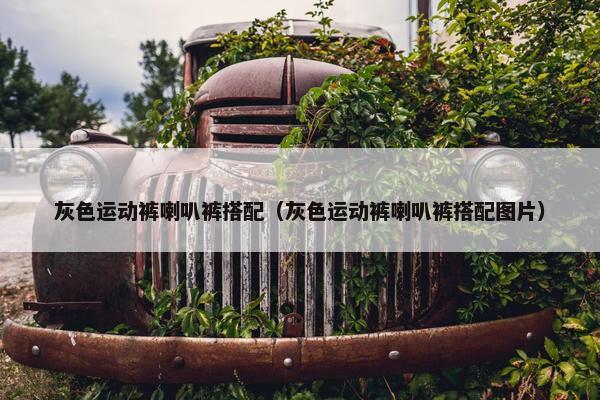 灰色运动裤喇叭裤搭配（灰色运动裤喇叭裤搭配图片）