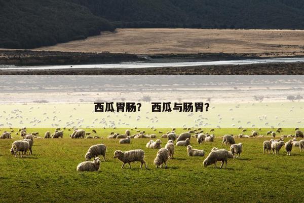 西瓜胃肠？ 西瓜与肠胃？