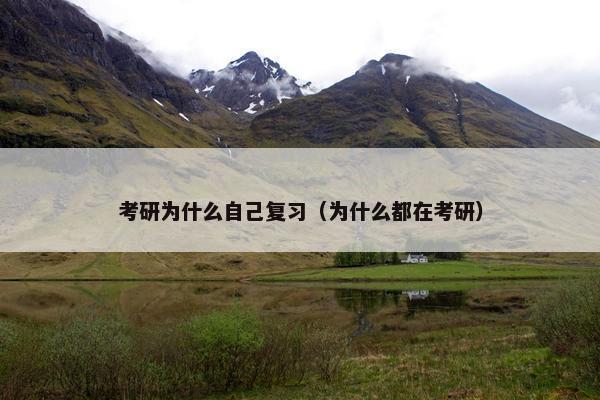 考研为什么自己复习（为什么都在考研）