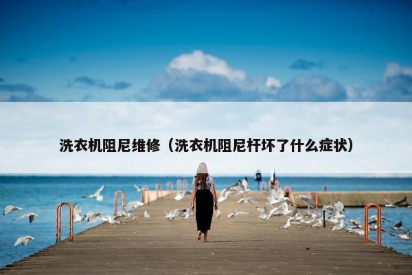 洗衣机阻尼维修（洗衣机阻尼杆坏了什么症状）