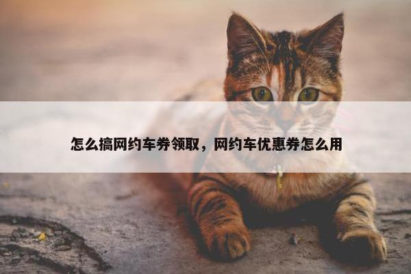 怎么搞网约车券领取，网约车优惠券怎么用