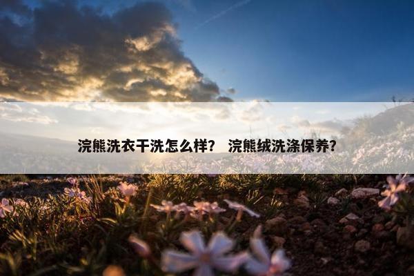 浣熊洗衣干洗怎么样？ 浣熊绒洗涤保养？
