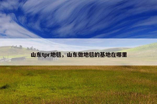 山东tpr地毯，山东做地毯的基地在哪里
