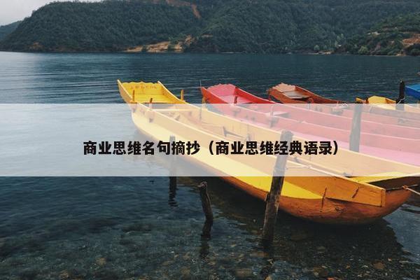 商业思维名句摘抄（商业思维经典语录）