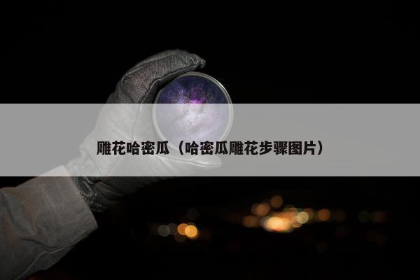 雕花哈密瓜（哈密瓜雕花步骤图片）