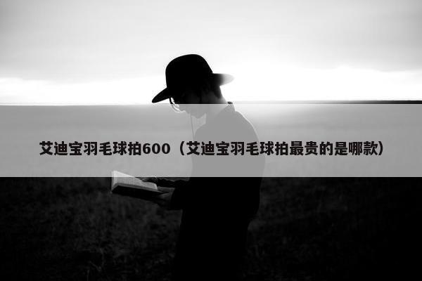 艾迪宝羽毛球拍600（艾迪宝羽毛球拍最贵的是哪款）
