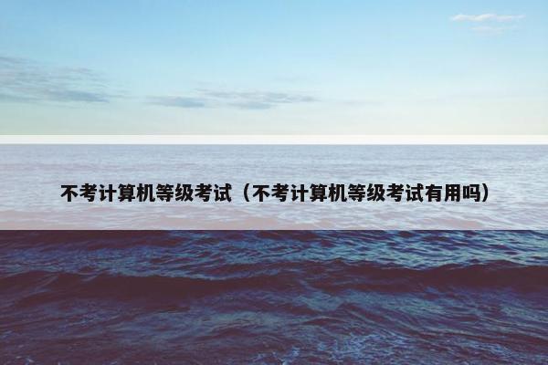 不考计算机等级考试（不考计算机等级考试有用吗）