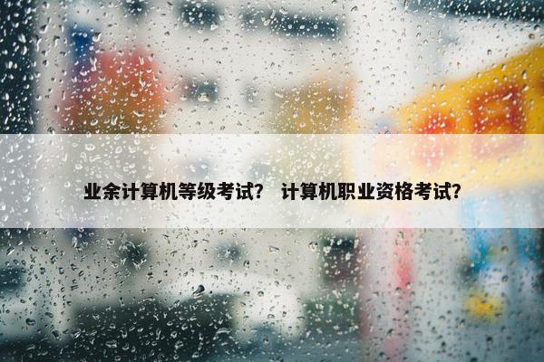 业余计算机等级考试？ 计算机职业资格考试？