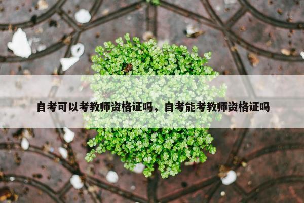 自考可以考教师资格证吗，自考能考教师资格证吗