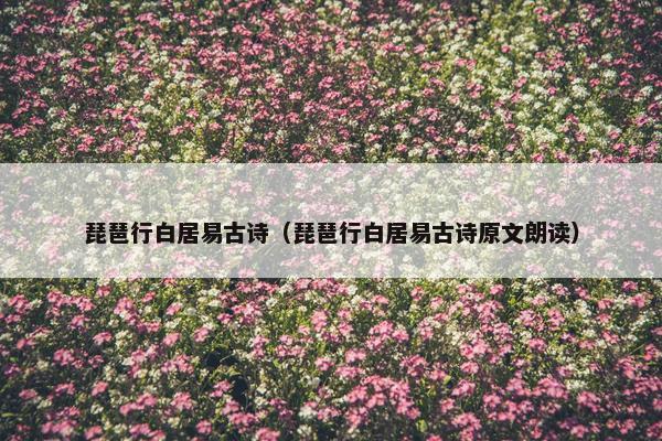 琵琶行白居易古诗（琵琶行白居易古诗原文朗读）