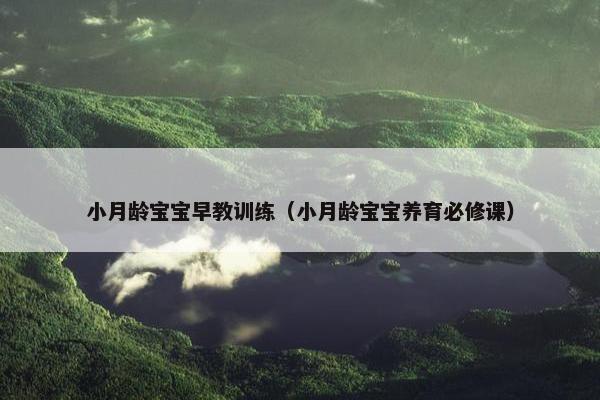 小月龄宝宝早教训练（小月龄宝宝养育必修课）