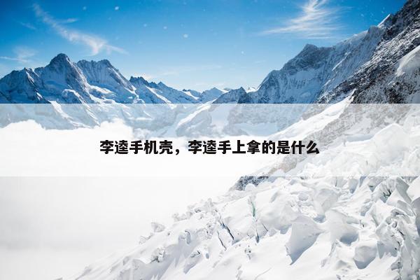 李逵手机壳，李逵手上拿的是什么