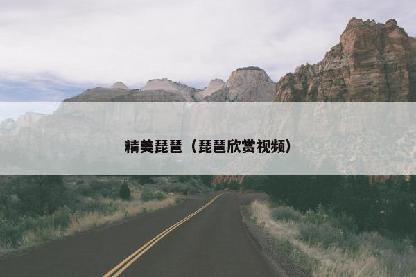 精美琵琶（琵琶欣赏视频）