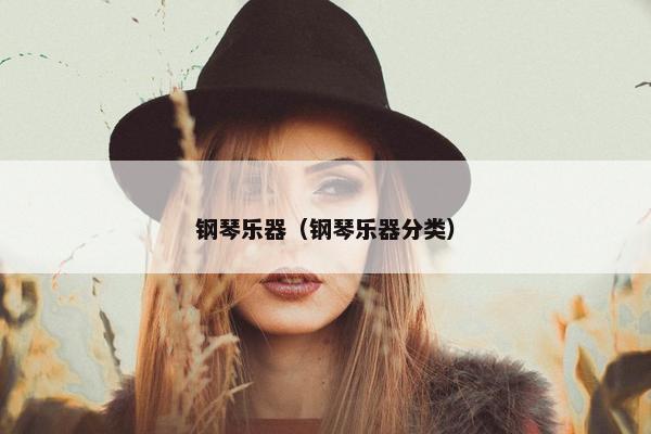 钢琴乐器（钢琴乐器分类）