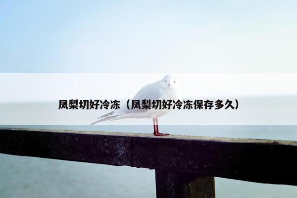 凤梨切好冷冻（凤梨切好冷冻保存多久）