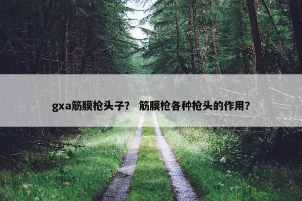 gxa筋膜枪头子？ 筋膜枪各种枪头的作用？