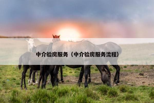 中介验房服务（中介验房服务流程）
