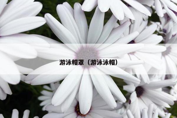 游泳帽罩（游泳泳帽）