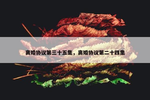 离婚协议第三十五集，离婚协议第二十四集
