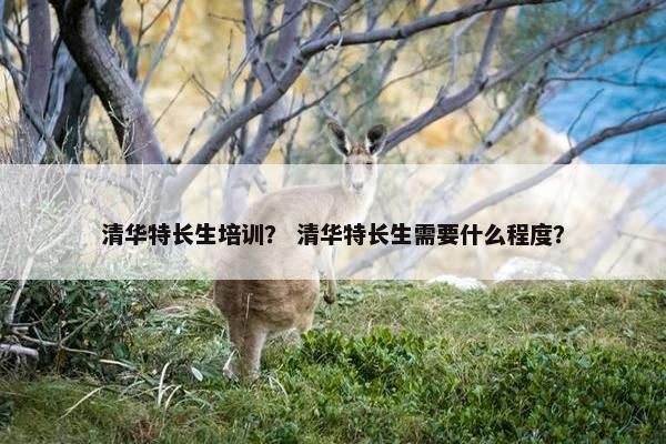 清华特长生培训？ 清华特长生需要什么程度？