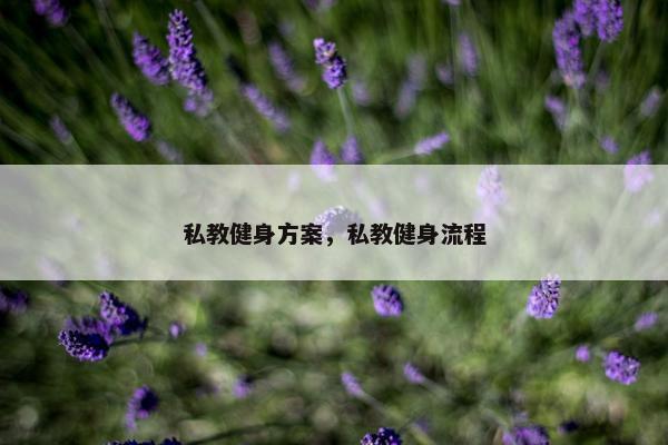 私教健身方案，私教健身流程